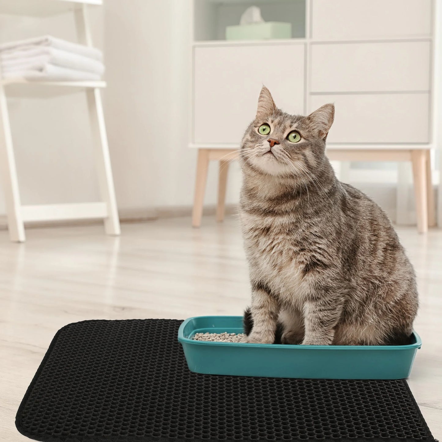 Waterproof Double - Layer Cat Litter Mat- 24x15 Inch Trapping Pad
